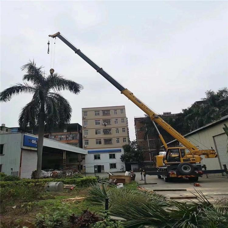 宜阳汽车吊出租多少钱？全面解析与市场行情